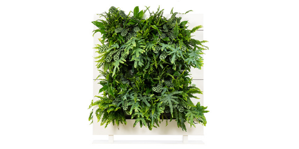 LiveDivider PLUS - Image 17