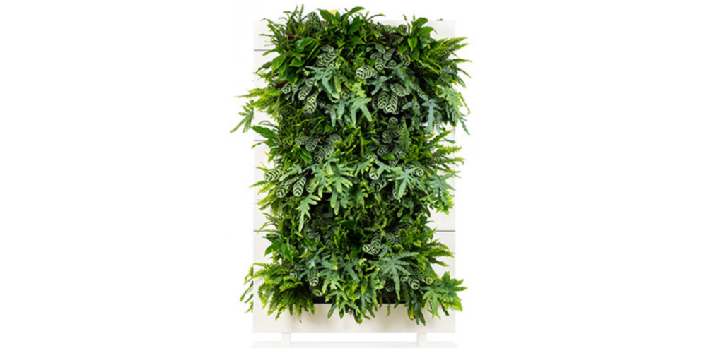 LiveDivider PLUS - Image 9