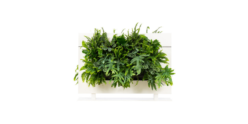 LiveDivider PLUS - Image 5