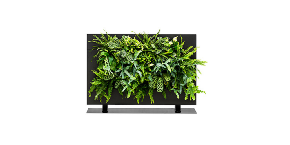 LiveDivider PLUS - Image 3